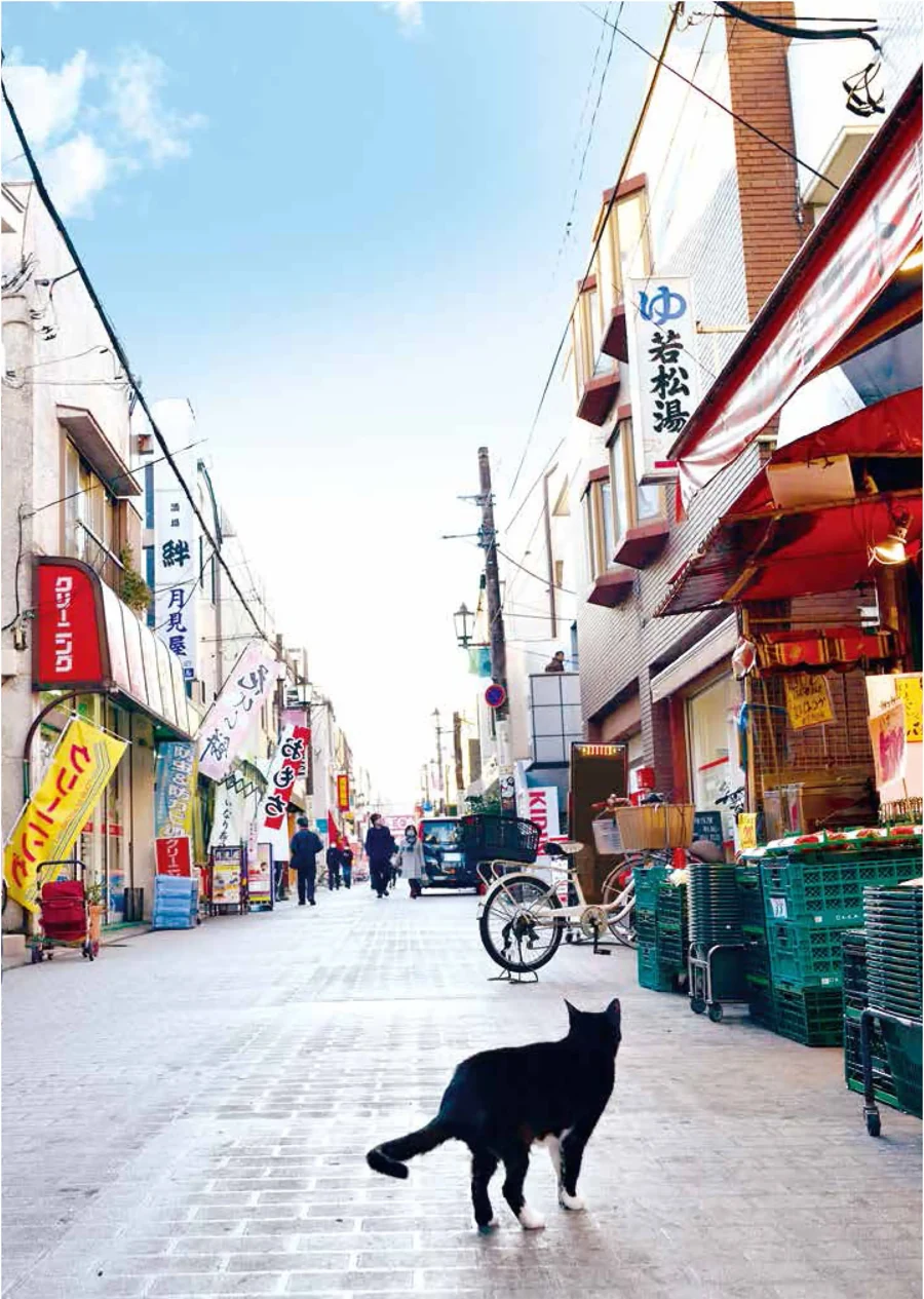 猫と人が行き交う北浦和西口銀座商店街の街並み